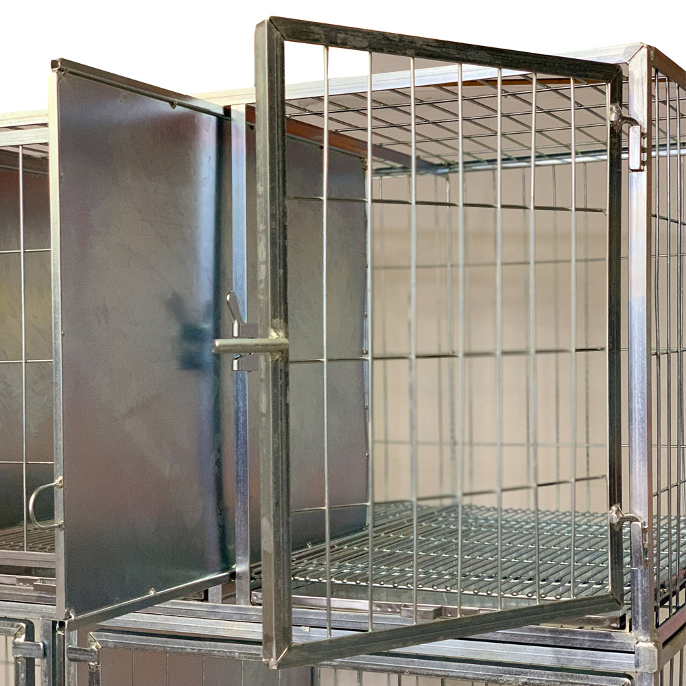 Canil Standard 6 Lugares Pintado MEDIO - Imagem 3