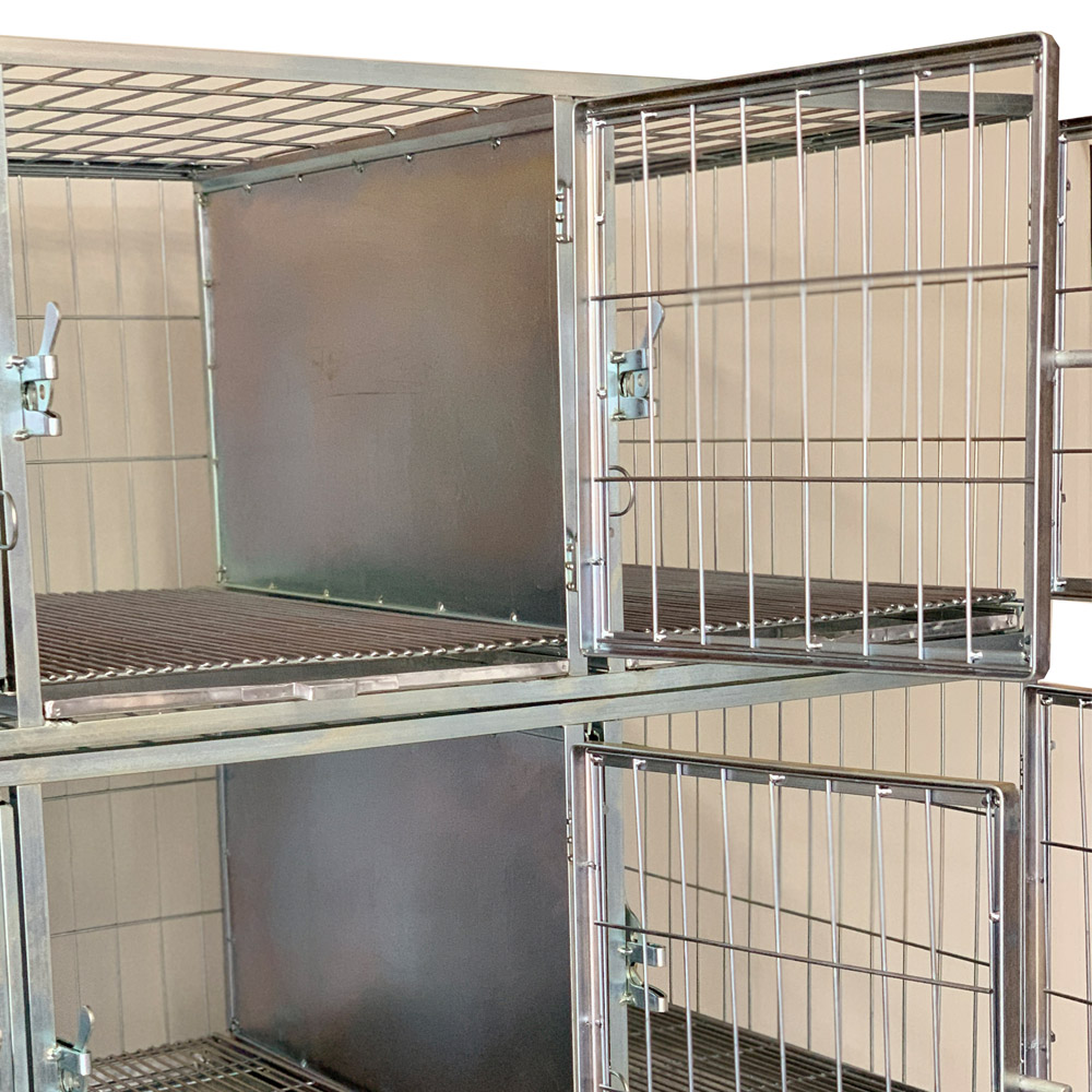 Canil Standard 6 Lugares Pintado MEDIO - Imagem 6