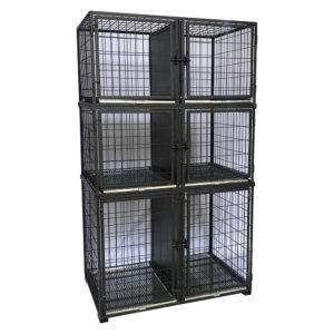 Canil Standard 6 Lugares Pintado MEDIO