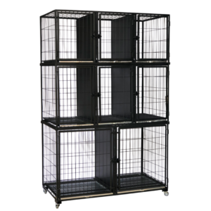 Canil Standard 8 Lugares Pintado