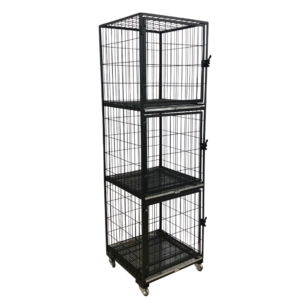 Canil Standard 3 Lugares Pintado